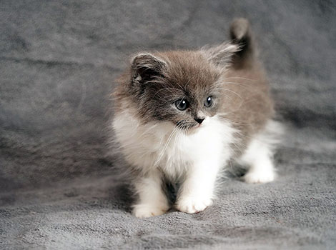 Quiana am 28.05.2025